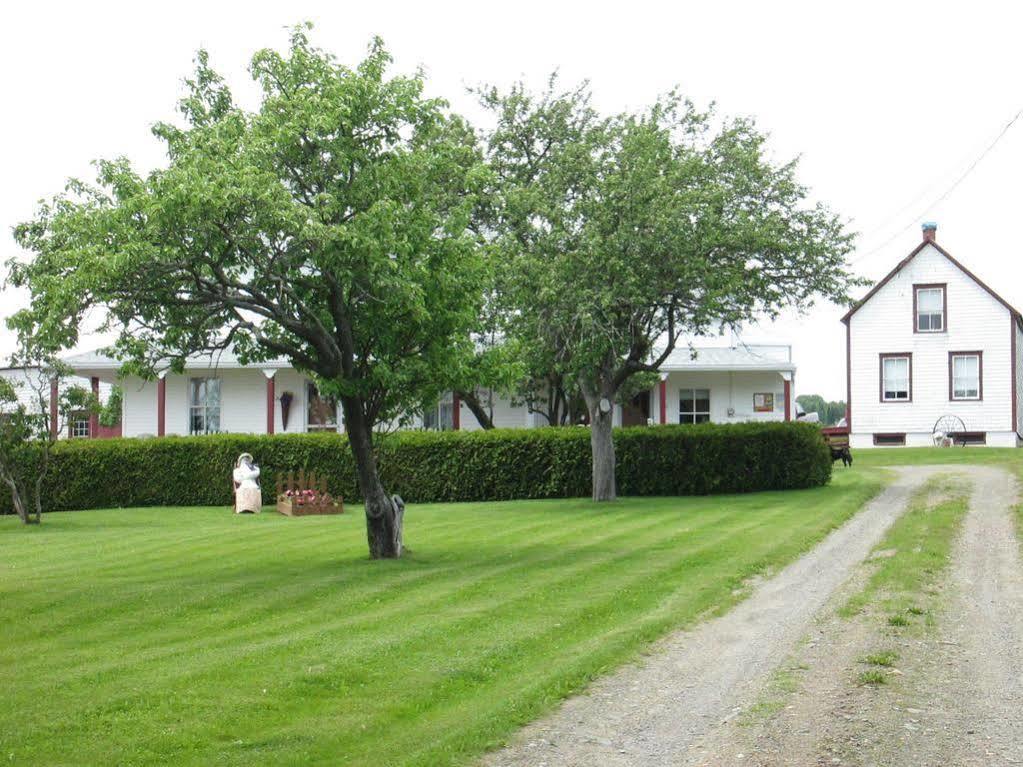 Gite Les Acres Tranquilles B&B Port-Daniel Exterior photo